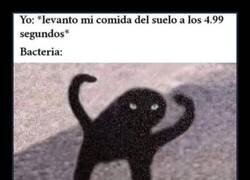 Enlace a Bacteria frustrada