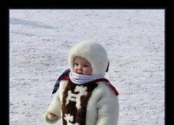 Enlace a Bien abrigado para el invierno mongol