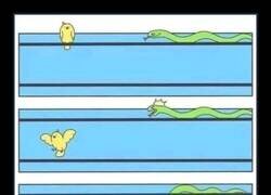 Enlace a Ese pájaro sabe lo que hace