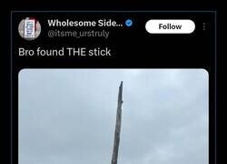 Enlace a El palo definitivo