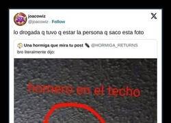 Enlace a Si tú lo dices...