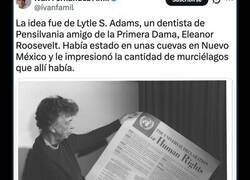 Enlace a El Proyecto X-Ray: El plan secreto de EEUU para lanzar bombas de murciélagos sobre Japón