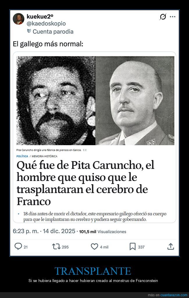 cerebro,franco,pita caruncho,transplante