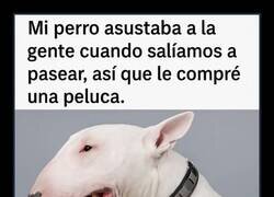 Enlace a Soluciones prácticas