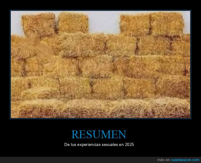 resumen,experiencias,paja