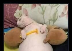 Enlace a Final vergonzoso