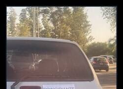 Enlace a Conductor novel