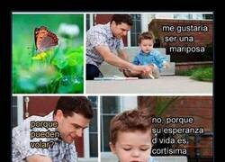 Enlace a Queriendo ser mariposa
