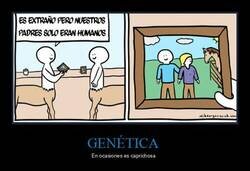 Enlace a Centauros confusos