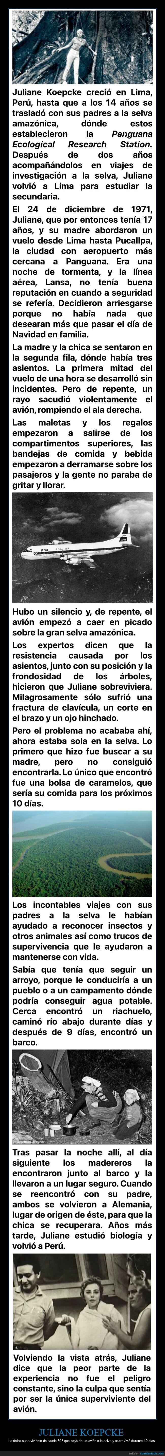 juliane koepcke,superviviente,avi&oacute;n,selva