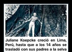 Enlace a Juliane Koepcke, la única superviviente del vuelo 508 que cayó de un avión a la selva y sobrevivió durante 10 días