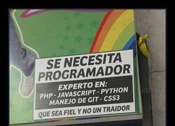 Enlace a Oferta de empleo con requisitos