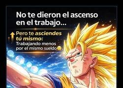 Enlace a Siempre hay formas de 