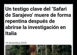 Enlace a Demasiada casualidad...