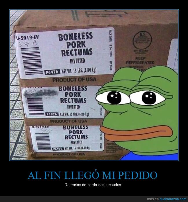 caja,cerdo,rectos,wtf