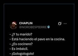 Enlace a Haciendo el pavo en la cocina