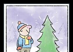 Enlace a Encontró el árbol perfecto