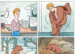 Enlace a Cambio de vida