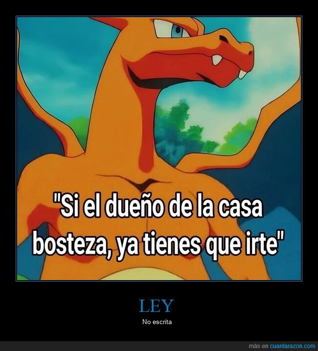 bostezar,casa,due&ntilde;o,irse