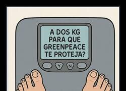 Enlace a Báscula sincera