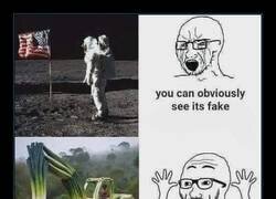 Enlace a Lógica negacionista