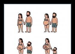 Enlace a Etapas del embarazo