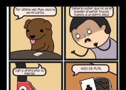 Enlace a Enseñando trucos nuevos a un perro viejo