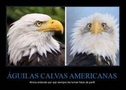 Enlace a Ángulo poco favorecedor