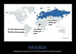 Enlace a Natalidad en Nigeria VS Natalidad en Europa