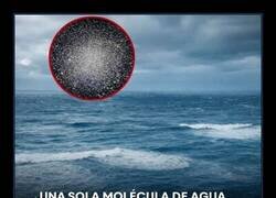 Enlace a El dato importante del día