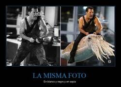 Enlace a Distintas tonalidades