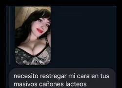 Enlace a Caballero ignorado