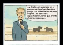 Enlace a Los últimos de su especie