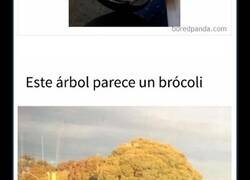 Enlace a Memes de comida irresistiblemente divertidos