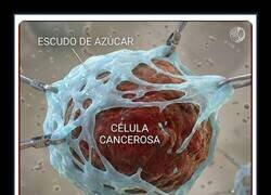 Enlace a Un gran avance contra el cáncer