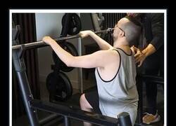 Enlace a Gimnasio promedio este mes