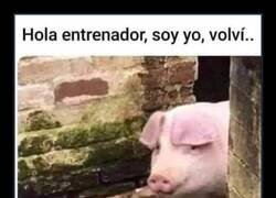 Enlace a De vuelta al gimnasio