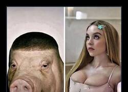 Enlace a Emparejamiento futbolero