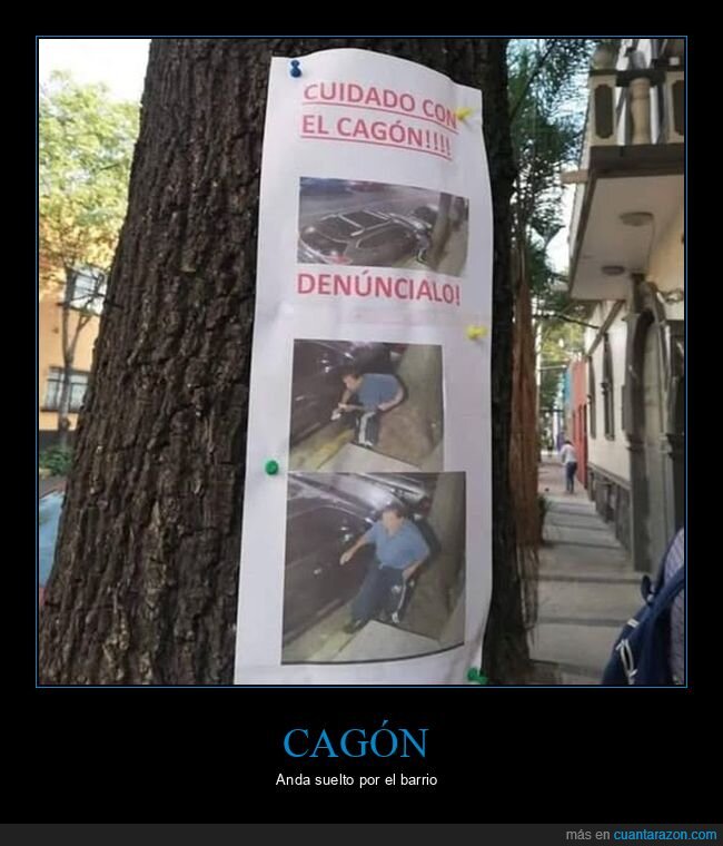 cag&oacute;n,carteles