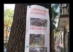 Enlace a Cagón expuesto