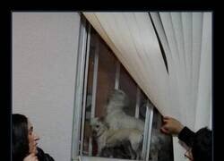 Enlace a ¿Qué ocurre tras la cortina?