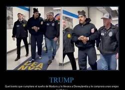 Enlace a Cumpliendo su sueño