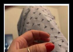 Enlace a Lo que pasa cuando llevas 3 meses sin usar el pulgar