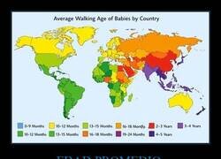Enlace a Edades a las que los niños comienzan a caminar por país