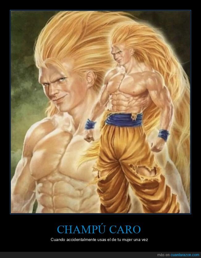 caro,champ&uacute;,dragon ball,goku