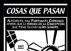 Enlace a Un milagro muy lucrativo