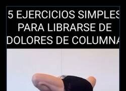 Enlace a Creo que prefiero el dolor de columna...