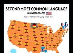 Enlace a Prevalencia del español