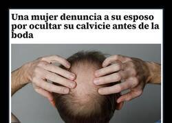 Enlace a Traición alopécica