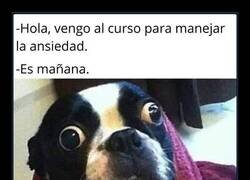 Enlace a Día equivocado